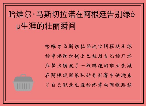 哈维尔·马斯切拉诺在阿根廷告别绿茵生涯的壮丽瞬间