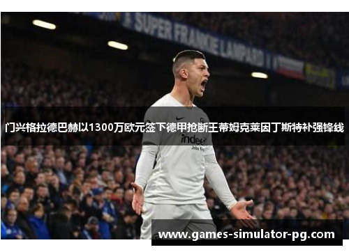 门兴格拉德巴赫以1300万欧元签下德甲抢断王蒂姆克莱因丁斯特补强锋线